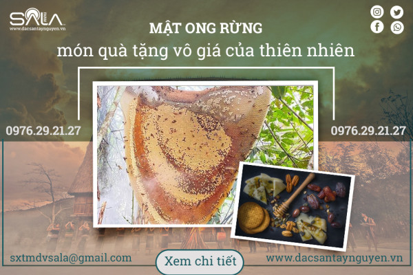 Mật ong rừng - Quà tặng quý giá của thiên nhiên cho sức khỏe con người