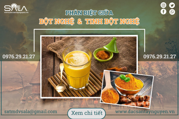 Phân biệt tinh bột nghệ và bột nghệ