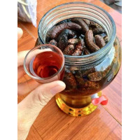 Chuối hột rừng