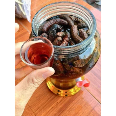 Chuối hột rừng