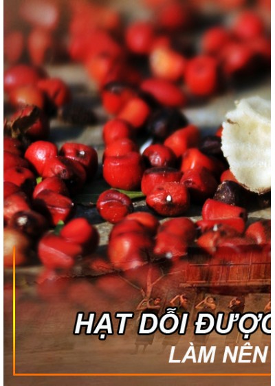 Hạt Dổi 50gr