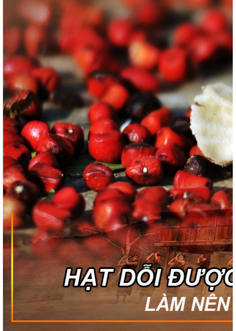 Hạt Dổi 50gr