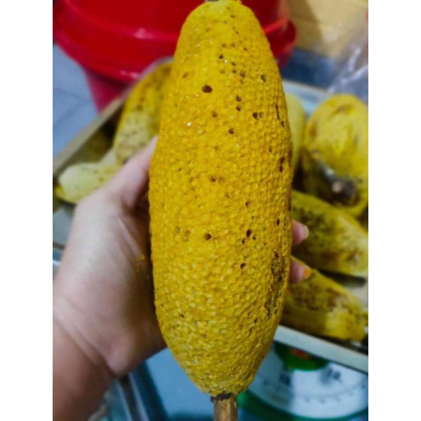 Mật ong ruồi rừng