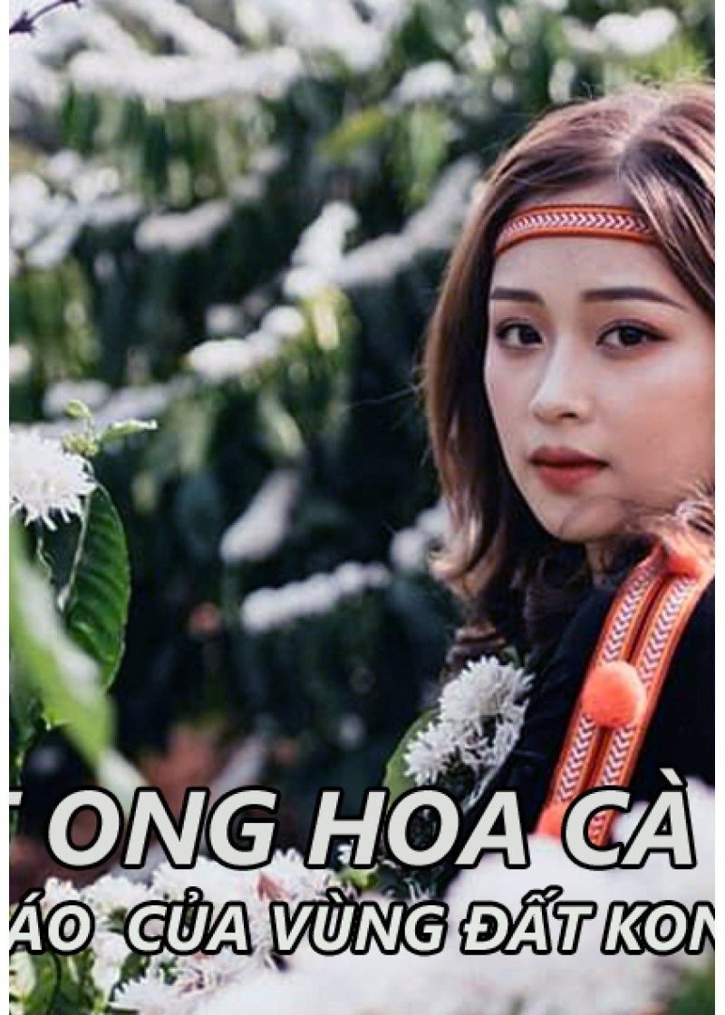 Mật ong hoa cà phê 5 lít