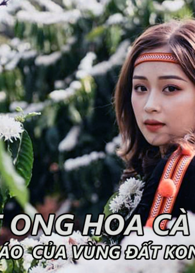 Mật ong hoa cà phê 5 lít