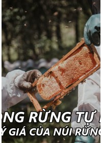 Mật ong ruồi rừng