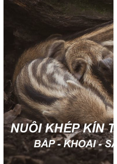 Thịt Đùi Heo Rừng